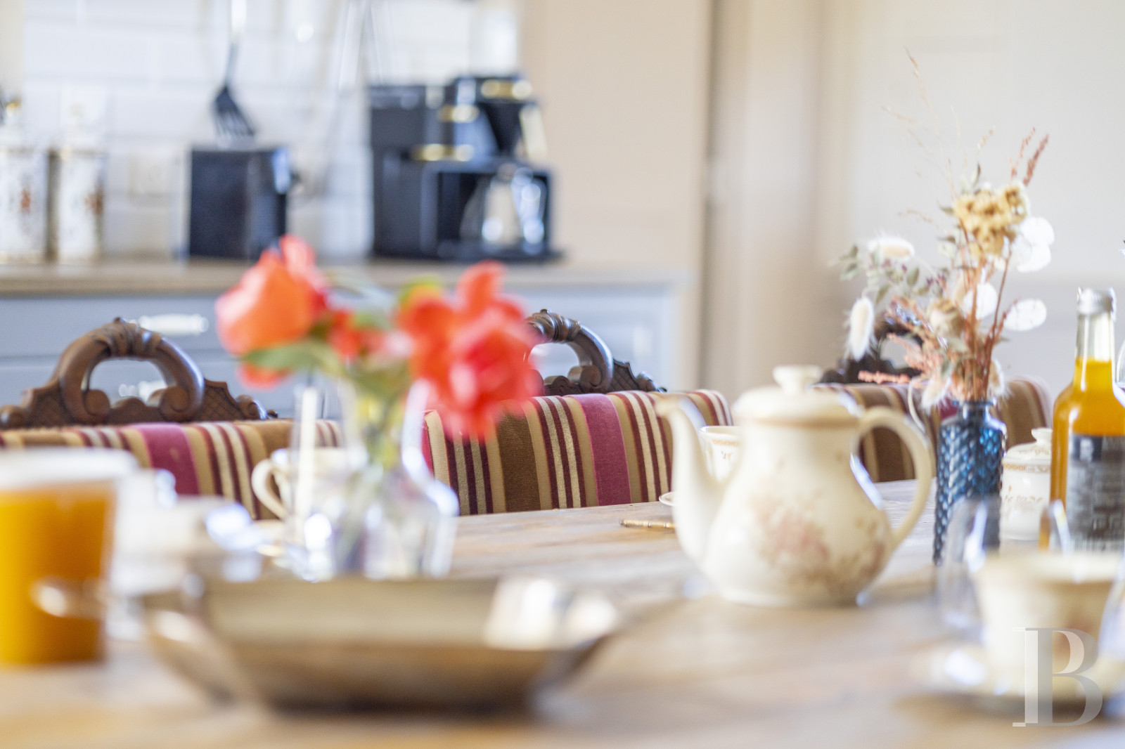 A 17th and 19th century Touraine château in the south of the Indre-et-Loire department, halfway between Tours and Poitiers - photo  n°20